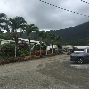 Hawaiian Sunshine Nursery