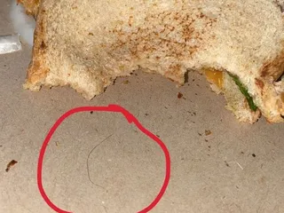 Chaminade University Silversword Cafe