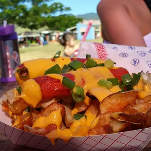 Semi-Loaded Tater Tray @ The Aloun Farms Pumpkin Patch