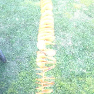 Tater Stick flavored with cheesy cheddar.  The potato was soft and it tasted plain.