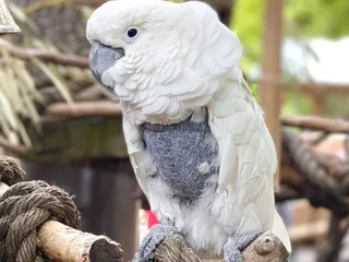 Dallas Zoo