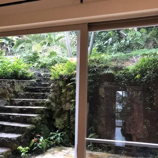 View out back. Leads to Volcano