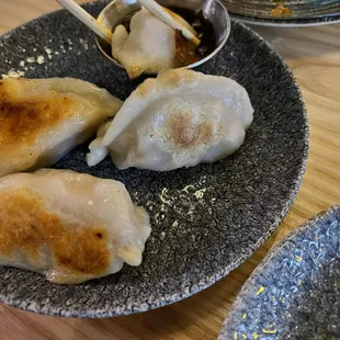 Chicken Dumplings