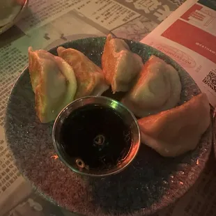 Chicken Dumplings
