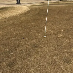 My partners tee shot on a par 3!
