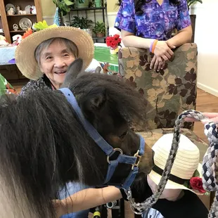 A wonderful engaging visit from the minis brought by Hawks petting zoo Ranch located in Lincoln California