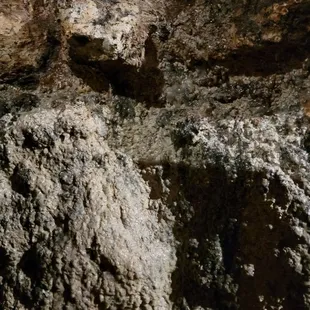 Natural spring water trickles into wine cellar