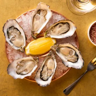 shellfish, oysters, food, oysters and mussels, mussels