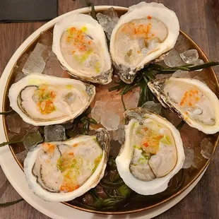 oysters, food, oysters and mussels, mussels, shellfish