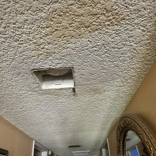 Hallway water damage from water leaking from Bosch unit.