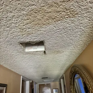 Hallway water damage from Bosch Unit.