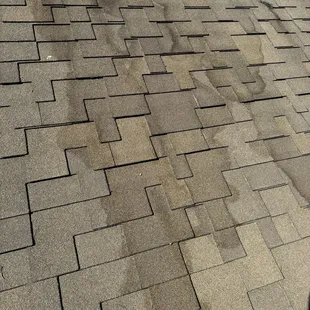 Shingle water damage