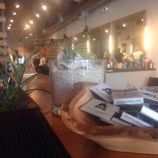 They have many cute succulents all over the salon that adds a cuter touch to the vibe in the place