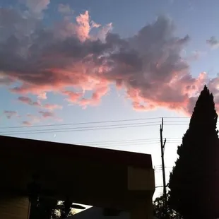 Evening on the patio