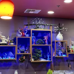 a variety of fish tanks
