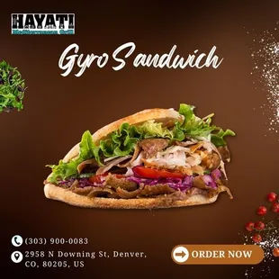 Gyro Sandwich