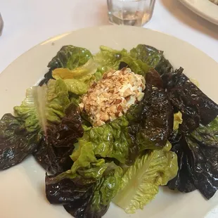 Warm Goat Cheese Salad