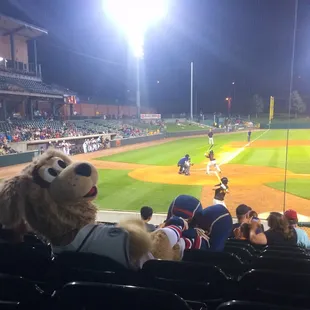 Homer enjoying a Saltdogs game at Haymarket Park.