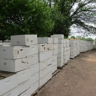 beehives stacked on top of each other