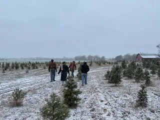 4 C Choose & Cut Christmas Tree Farm