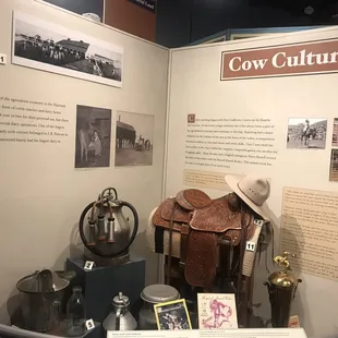 Cow Culture
