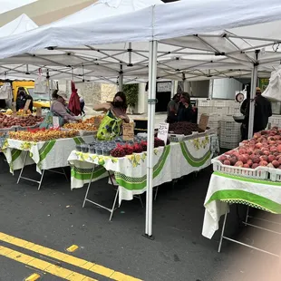 Stone fruits galore. My thumb reminding us all that photography is not my day job.