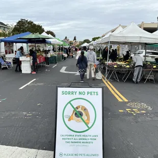 The summer bounty is upon us