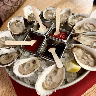Oysterzzzz