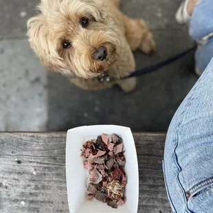 Very happy doggo who got some meat scraps while we waited, an unexpected and wonderful treat.