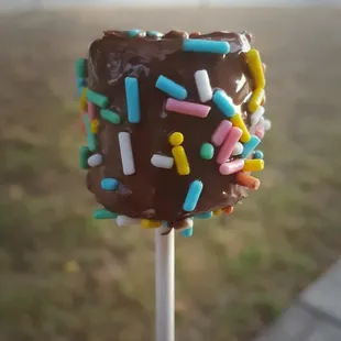 a chocolate covered lollipop with sprinkles