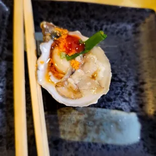 Close up of the oysters