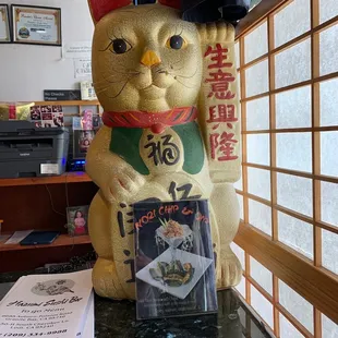 Greeting cat