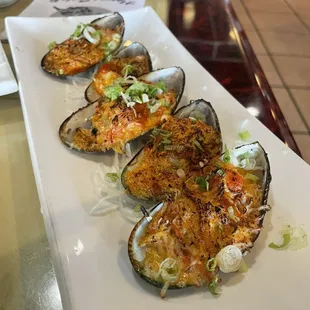 oysters, shellfish, oysters and mussels, food, mussels