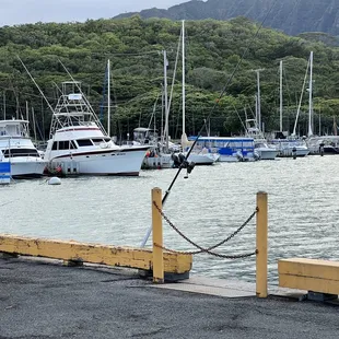 Perfect scenery! Heeia Boat Harbor