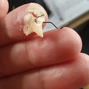 Not good. Found this in my rice today. They refused to give me my money back or remake my food. We will never eat here again nor recommend