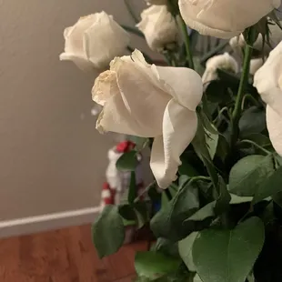 Drooping roses