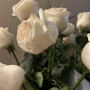 Droopy roses