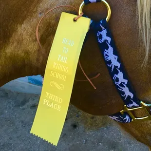 Chester and I took 3rd place in the Extreme Obstacles Summer Camp - so much fun!!!