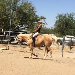 English and western is taught at the ranch