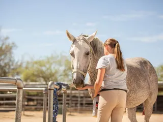 Rolling Hills Riding Academy