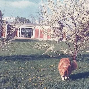 Spring.