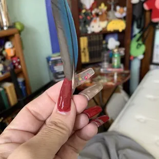 (Was actually sending this to my dgtr bcz her bird lost a feather-but it's not too bad a pic of my coffin nails) By me/on me.