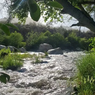 River next to campground