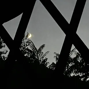 The view from inside the yurt.