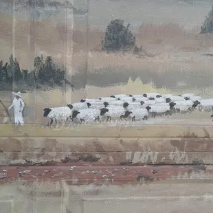 ...our Mexican sheep herder and his flock