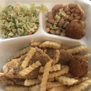 Catfish meal to go
