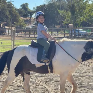 Again.  Love Healing Pasteures @c-horse ranch