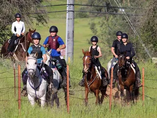 Crater Hill Esquestrian