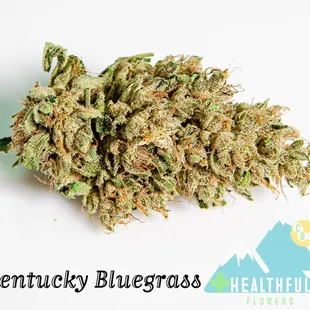 CBG Hydroponic Flowers