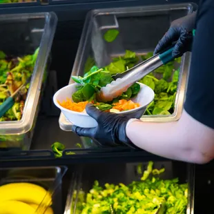 salads, interior